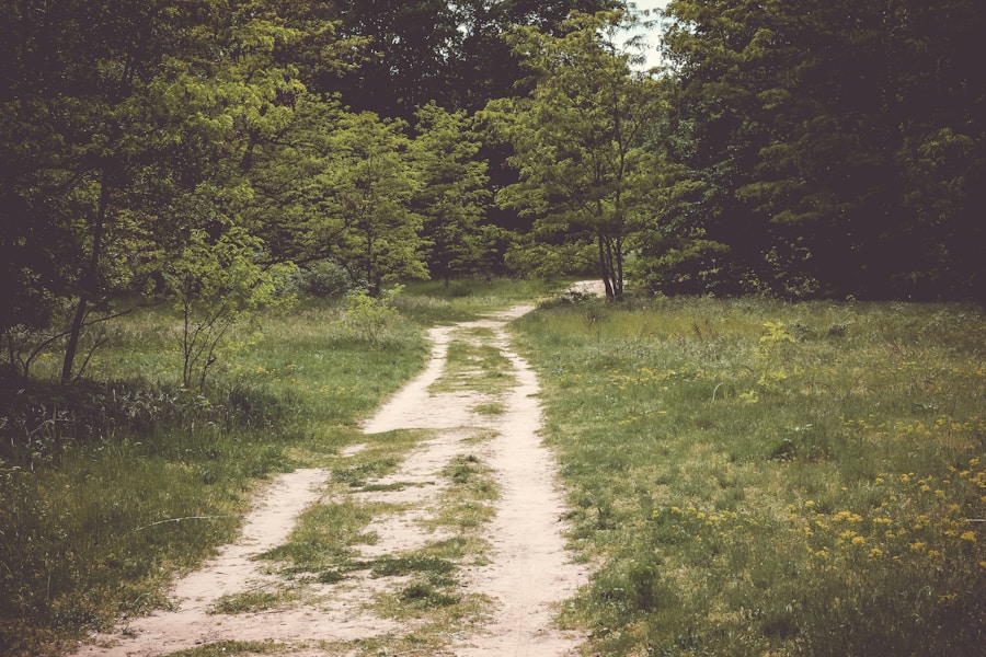 Photo "Dreams about searching for a path: How to interpret the dream about being lost"